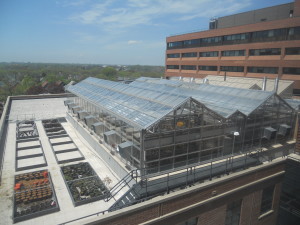 roof top greenhouse